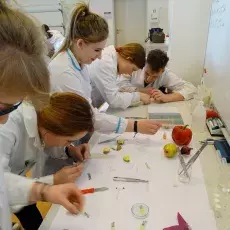 dr Małgorzata Kapusta z Katedry Cytologii i Embriologii Roślin prowadzi zajęcia pt. "Komórka roślinna w mikroskopie fluorescency
