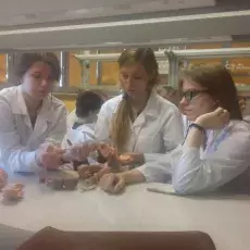 dr Dorota Myślińska z Katedry Fizjologii Zwierząt i Człowieka prowadzi zajęcia pt. "Co w głowie piszczy -  mózg pod lupą i mikro