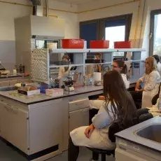 dr Beata Furmanek-Blaszk z Katedry Mikrobiologii prowadzi zajęcia pt. "Barwienie i obserwacja preparatów komórek bakteryjnych" d