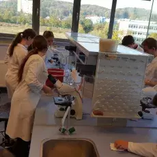 dr Beata Furmanek-Blaszk z Katedry Mikrobiologii prowadzi zajęcia pt. "Barwienie i obserwacja preparatów komórek bakteryjnych" d