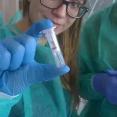 mgr Agnieszka Kaczmarczyk z Katedry Genetyki prowadzi zajęcia pt. "Bliskie spotkania z cząsteczką życia - izolacja DNA" dla uczn