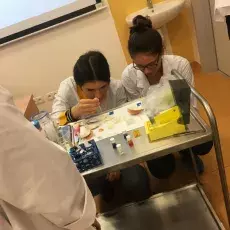 dr Małgorzata Kapusta z Katedry Cytologii i Embriologii Roślin prowadzi zajęcia pt. "Komórka roślinna w mikroskopie fluorescency