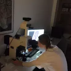 dr Małgorzata Kapusta z Katedry Cytologii i Embriologii Roślin prowadzi zajęcia pt. "Komórka roślinna w mikroskopie fluorescency