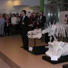Mikołaj składa nam życzenia Świąteczno-Noworoczne