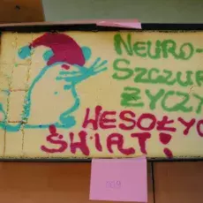 Sernik 009