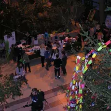 Noc Biologów 2017