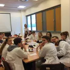"Dzielisz się z nami swoimi owocami - genetyczna modelka", prowadząca: dr Monika Mioduchowska (Katedra Genetyki)