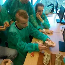 "Co w głowie piszczy – mózg pod lupą i mikroskopem", prowadząca: dr Dorota Myślińska (Katedra Fizjologii Zwierząt i Człowieka)