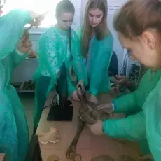 "Co w głowie piszczy – mózg pod lupą i mikroskopem", prowadząca: dr Dorota Myślińska (Katedra Fizjologii Zwierząt i Człowieka)