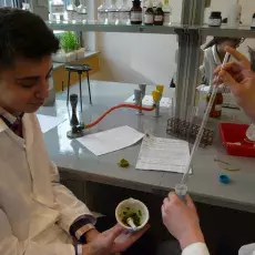 mgr Kamila Błażejewska z Katedry Fizjologii i Biotechnologii Roślin prowadzi zajęcia pt. "Zielona fabryka - jak roślina produkuj