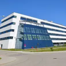 zdjecie