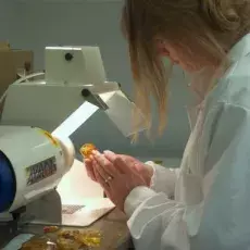 zdjecie