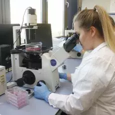 kierunek Genetyka i Biologia Eksperymentalna