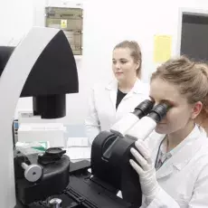kierunek Genetyka i Biologia Eksperymentalna