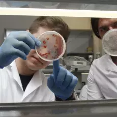 kierunek Genetyka i Biologia Eksperymentalna