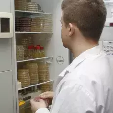 kierunek Genetyka i Biologia Eksperymentalna