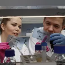 kierunek Genetyka i Biologia Eksperymentalna