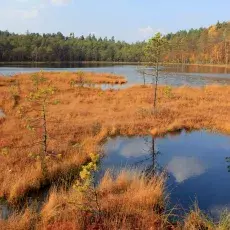 kierunek Ochrona Zasobów Przyrodniczych