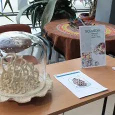 Dzień Otwarty Wydziału Biologii 2019