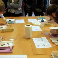 Dzień Otwarty Wydziału Biologii 2019