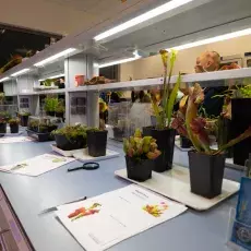 Noc Biologów 2020