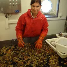 A. Iglikowska (Morze Norweskie, 2015)