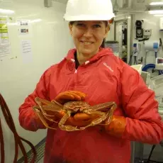 A. Iglikowska (Morze Norweskie, 2015)