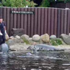 Wycieczka pokonferencyjna