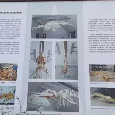 Wycieczka pokonferencyjna