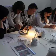 Studenci przy binokularach