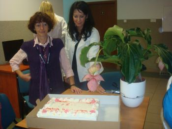 Tort, medinilla oraz koordynatorzy współpracy, od prawej: mgr Hanna Pietras, dr Krystyna Burkiewicz 